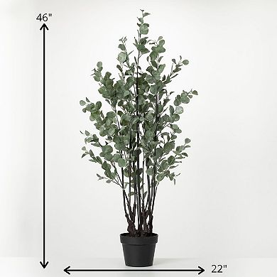 Sullivan's Artificial Robust Potted Eucalyptus Tree