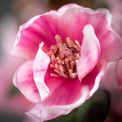 40-in. Artificial Pink Magnolia Stem