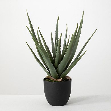 24-in. Artificial Potted Aloe Plant Floor Decor
