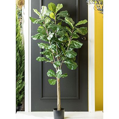 Sullivan's 60" Fiddle Leaf Tree Floor Decor