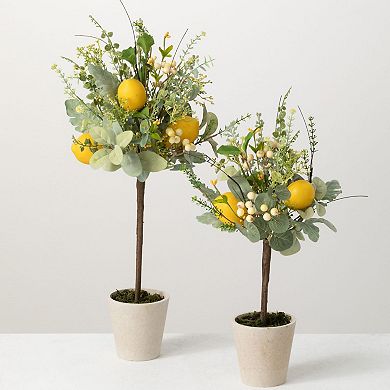 Sullivan's Set of 2 Artificial 24" & 19" Herb And Lemon Topiary Floor Decor