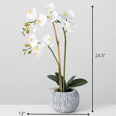 Sullivan's Artificial 24.5" Potted Orchid Floor Decor