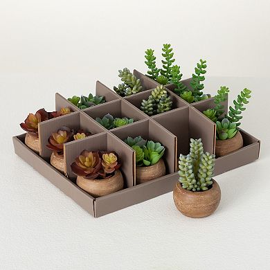 Sullivan's Set of 12 Artificial 4.5" Mini Potted Succulent Table Decor