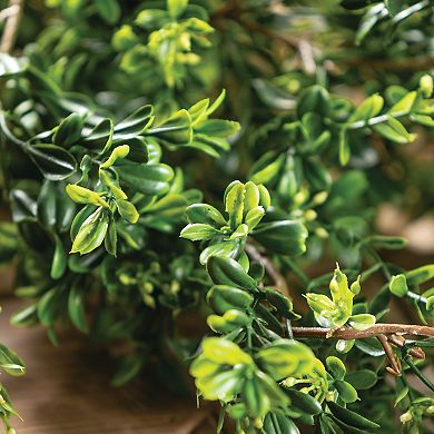 Sullivan's Artificial 72