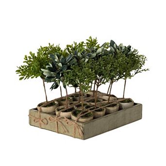 Sullivan's 12 pc Artificial Potted Mini Trees in Crate Set