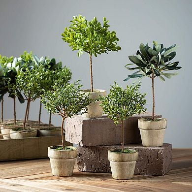 Sullivan's 12-Piece Artificial Potted Mini Trees in Crate Set