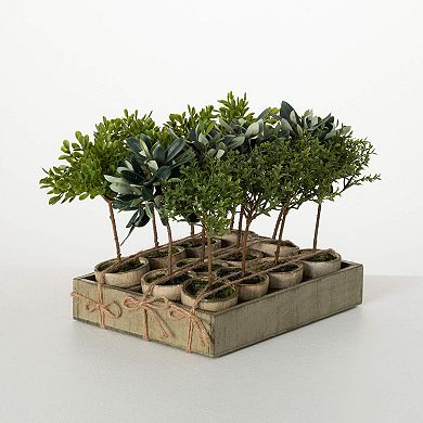 Sullivan's 12-Piece Artificial Potted Mini Trees in Crate Set