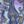 Purple Multi