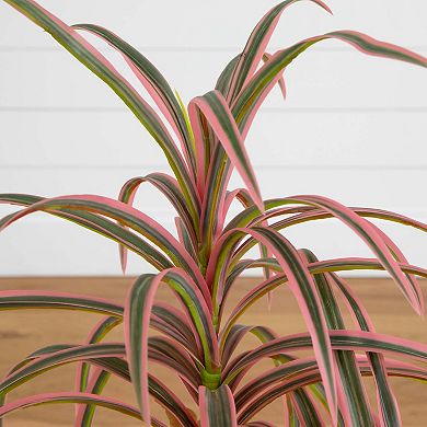 nearly natural 2-ft. Artificial Dracaena Marginata Plant Floor Decor