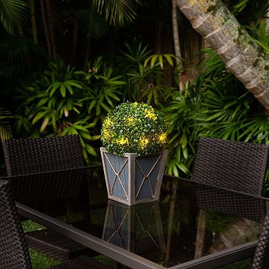 nearly natural LED Lighted Artificial Boxwood Ball Topiary Planter Floor Decor