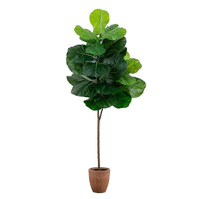 money plant pothos 4in Pothos 'Pearls n' jade'