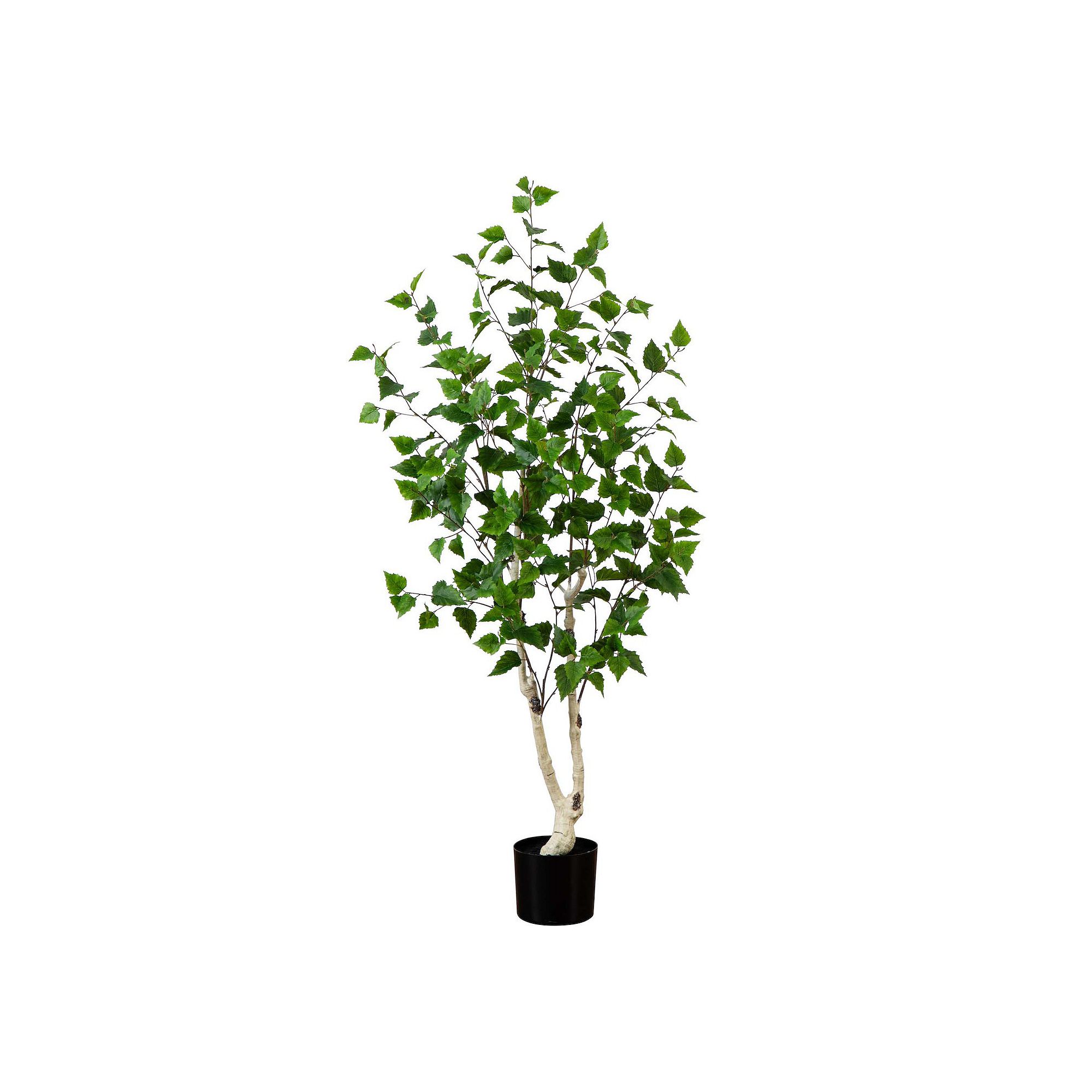 nearly natural 5-ft. Artificial Birch Tree Floor Decor, Green