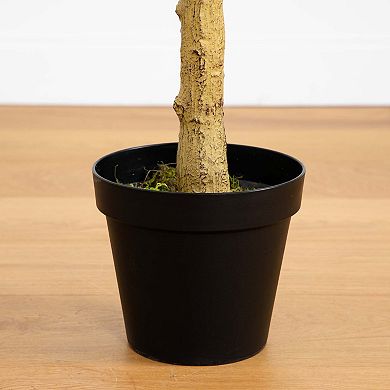 nearly natural 8-ft. Artificial Eucalyptus Tree Floor Decor