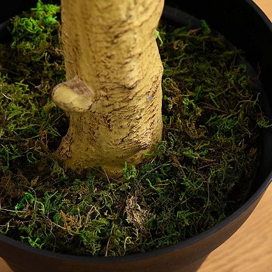 nearly natural 10-ft. Artificial Eucalyptus Tree Floor Decor