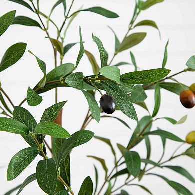 nearly natural 3-ft. Artificial Olive Tree with Natural Trunk Floor Decor