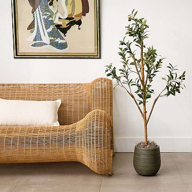 nearly natural 4-ft. Artificial Olive Tree with Natural Trunk Floor Decor