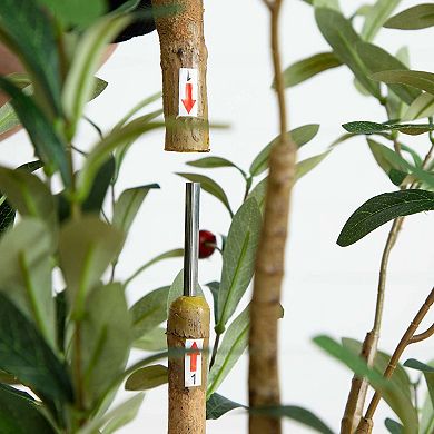 nearly natural 6-ft. Artificial Olive Tree with Natural Trunk Floor Decor