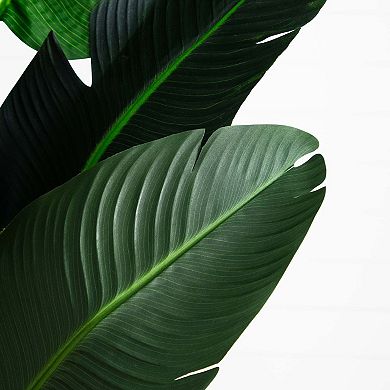 nearly natural 9-ft. Artificial Travelers Palm Tree Floor Decor