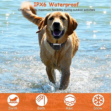 Ipx6 Waterproof Dog Training Collar Receiver Without Remote