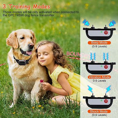 Ipx6 Waterproof Dog Training Collar Receiver Without Remote