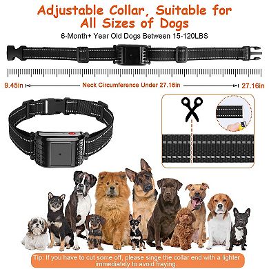 990ft, Black, Range Wireless Dog Fence & Training Collar