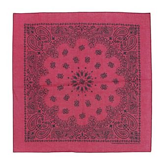 Cotton Contemporary Paisley Print Bandana