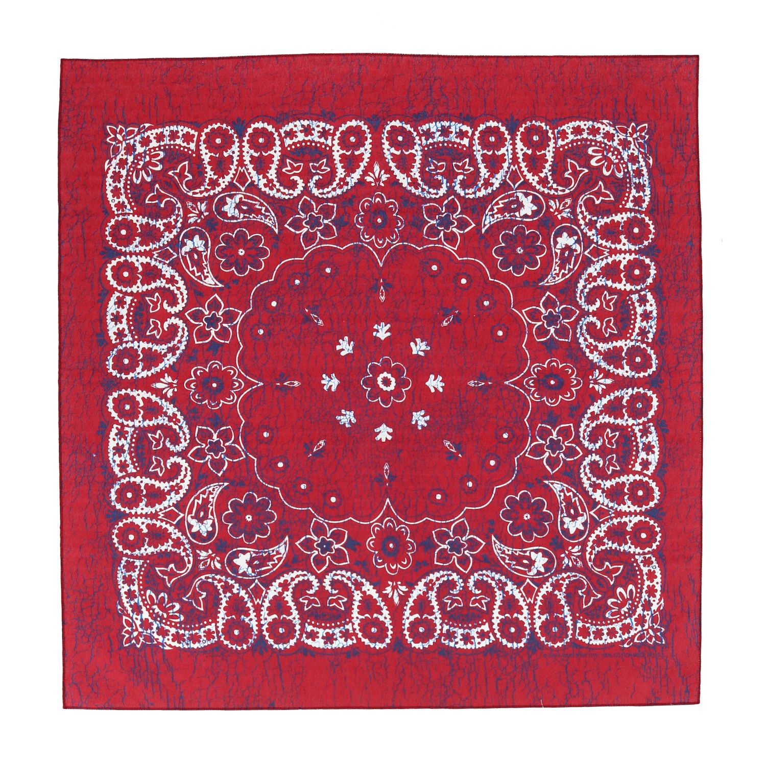 Unibasic Extra Large Polyester Paisley Bandanas 27 X 27 In - 6 Pack