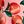 Peony Apple Blossom