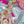 Pink Multi