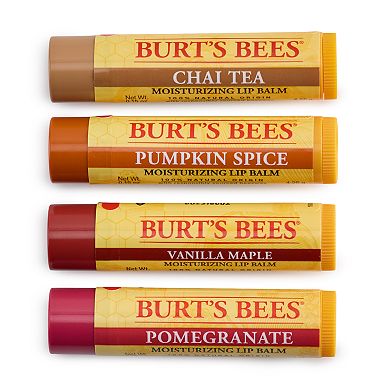 Burt's Bees 4-Pack Fall Lip Balm Set