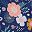 Wildflower Bloom