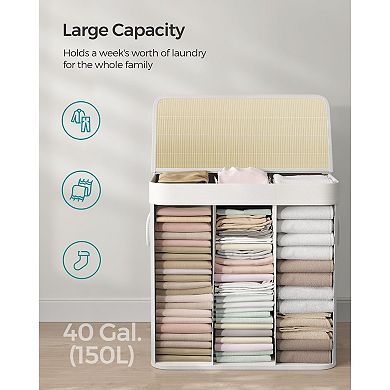 3-section Laundry Hamper With Lid