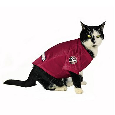 NCAA Florida State Seminoles Pet Stretch Jersey