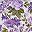 Plum Floral