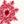 Cabernet Snowflake