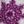 Deep Purple Snowflake