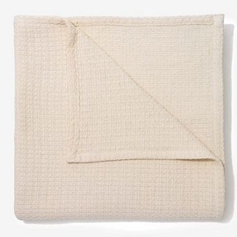 Brylanehome Bh Studio Cotton Blanket