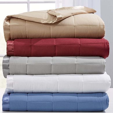 BrylaneHome Down-Alternative Blanket