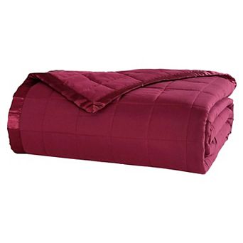 BrylaneHome Down-Alternative Blanket