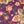 Multi Paisley