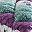 Lilac Sage