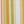 Dandelion Stripe