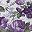Plum Floral