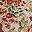 Spice Floral Multi
