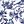 White Blue Bird