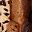 Wild Cat Print
