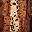 Wild Cat Print