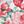 Blush Floral