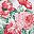 Blush Floral