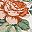 Spice Floral Multi